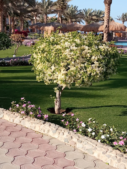 ذا ثرى كورنرز للفنادق والسياحة