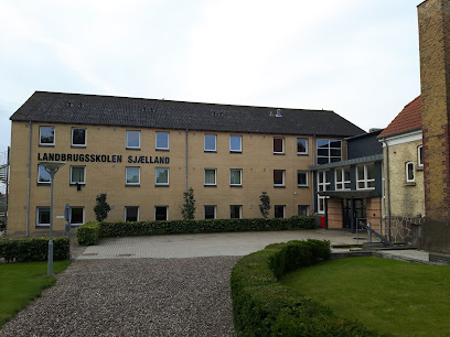 Roskilde Tekniske Skole