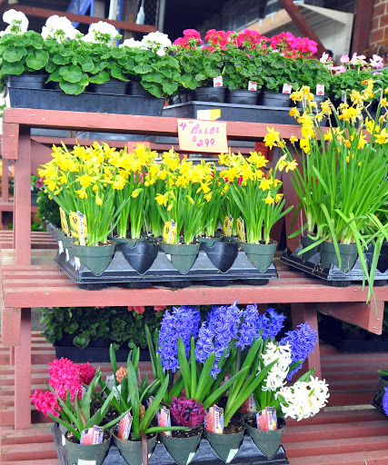 Animal Feed Store «Burns Feed Store», reviews and photos, 29215 SE Orient Dr, Gresham, OR 97080, USA