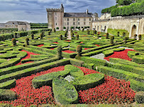 Château de Villandry du Restaurant français Restaurant Le Montsorelli à Montsoreau - n°1