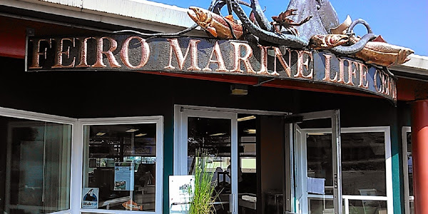 Feiro Marine Life Center