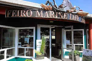 Feiro Marine Life Center image