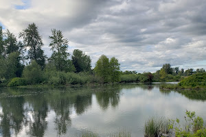 Delta Ponds