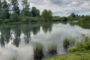 Delta Ponds image