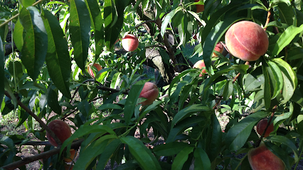 Grissom Lost Creek Orchard