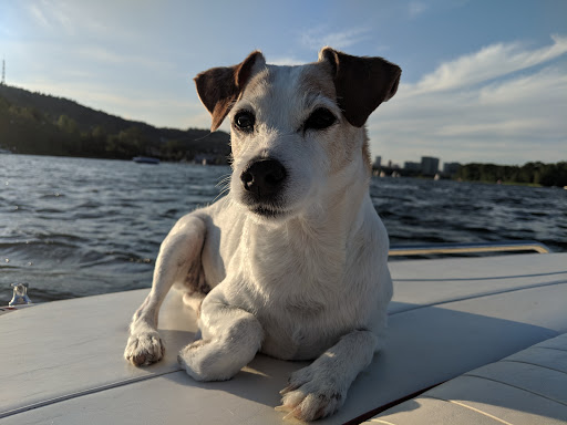 Pet Groomer «Happy Tails Pet Center», reviews and photos, 4370 SE King Rd Ste 260, Milwaukie, OR 97222, USA