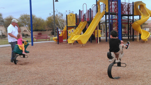 Park «Chuckwalla Park», reviews and photos, 4600 E Doral Dr, Chandler, AZ 85249, USA