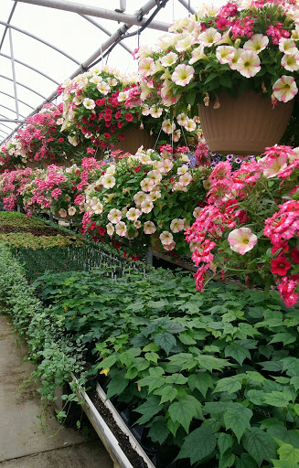 Plant Nursery «Blooming Acres», reviews and photos, 7561 State Rd, Wadsworth, OH 44281, USA