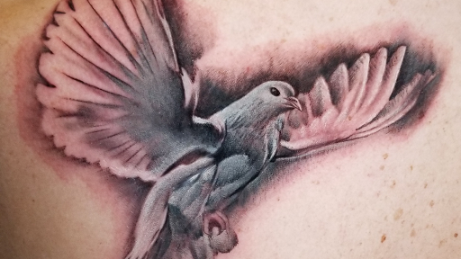 Hollywood Stars Tattoo, 9200 S Sepulveda Blvd, Los Angeles, CA 90045, USA, 