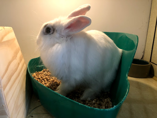 Pet Store «Parker Exotic Pets», reviews and photos, 17880 Cottonwood Dr, Parker, CO 80134, USA