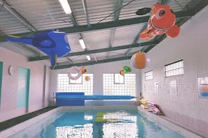 Little Fins Swim School Bangor image