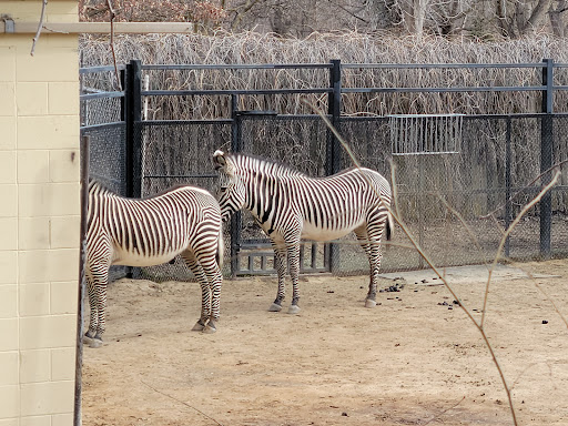 Zoo «Zoo Boise», reviews and photos, 355 Julia Davis Dr, Boise, ID 83702, USA