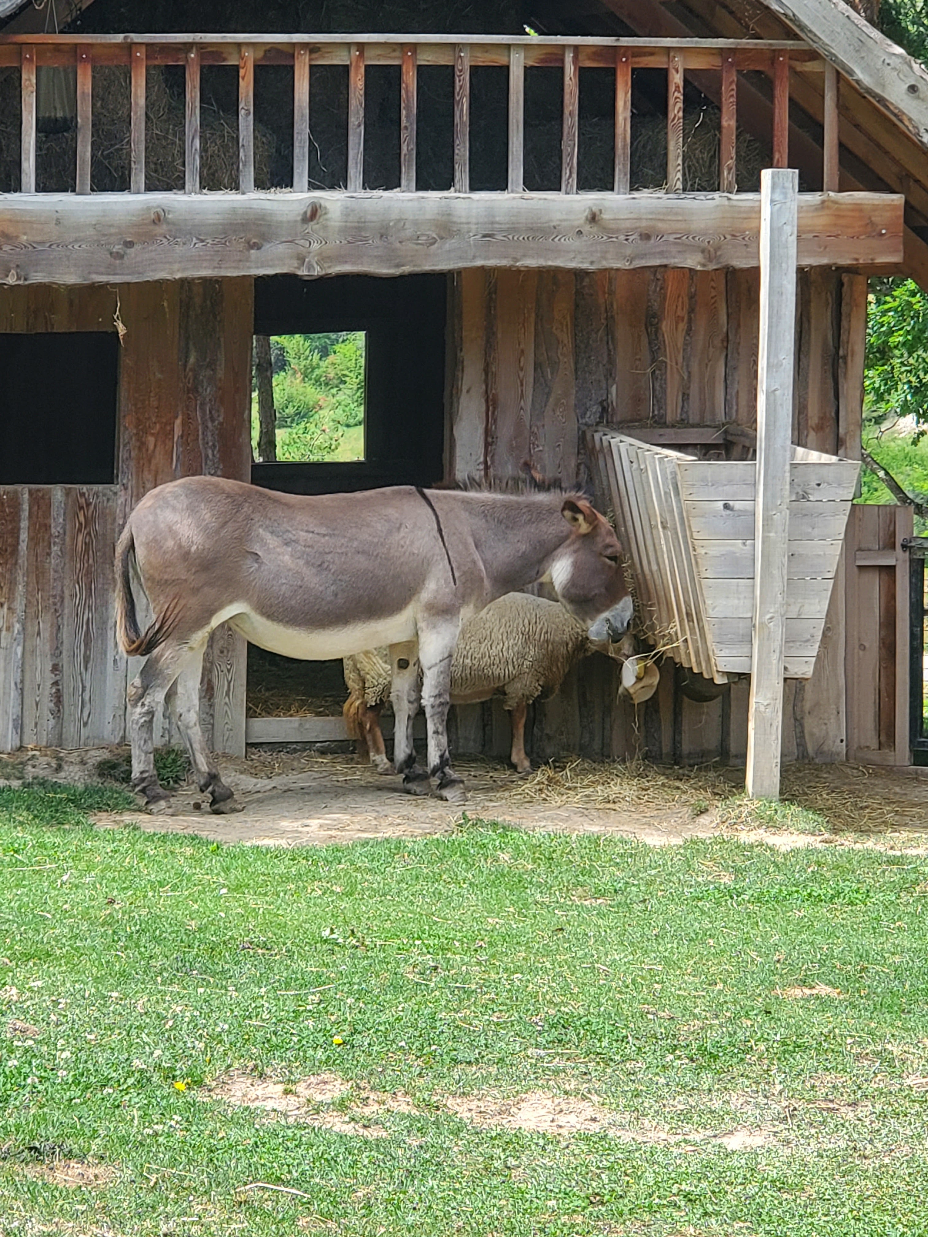 Photo n° 12 de l'avis de Lynda.e fait le 15/08/2023 à 10:47