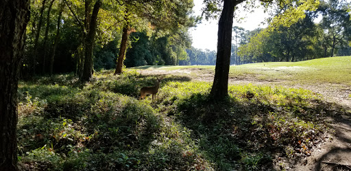 Golf Course «The Clubs of Kingwood - Deerwood Clubhouse», reviews and photos, 1717 Forest Garden Dr, Kingwood, TX 77345, USA