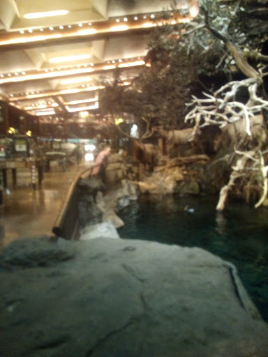 Sporting Goods Store «Bass Pro Shops Base Camp», reviews and photos, 2500 E Kearney St, Springfield, MO 65803, USA