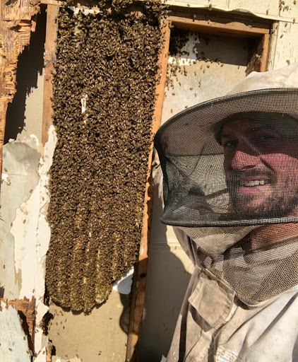 Sacramento Beekeeper