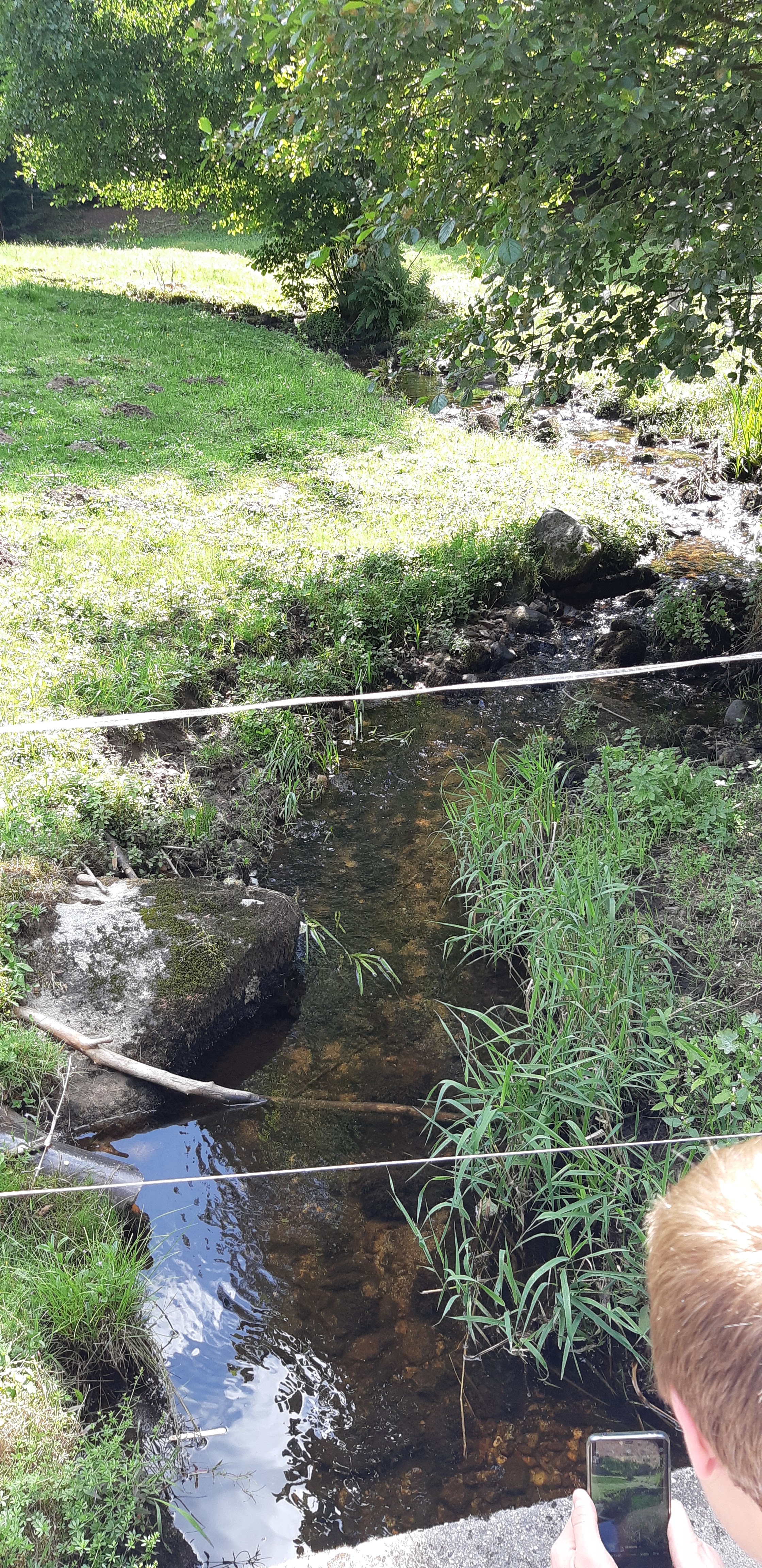 Photo n° 21 de l'avis de Anthony. fait le 03/08/2019 à 16:00