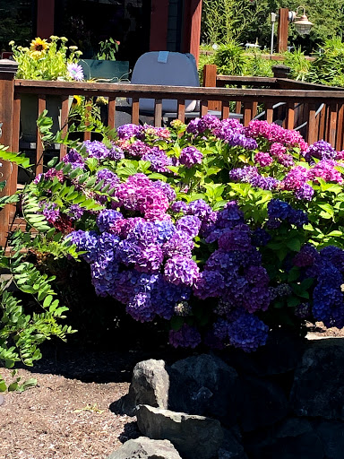 Community Center «Issaquah Community Center», reviews and photos, 301 Rainier Blvd S, Issaquah, WA 98027, USA