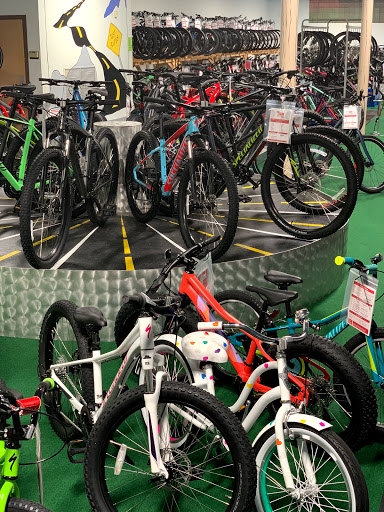 Bicycle Store «Team Active Cycling & Fitness», reviews and photos, 22 Michigan Avenue, Battle Creek, MI 49017, USA