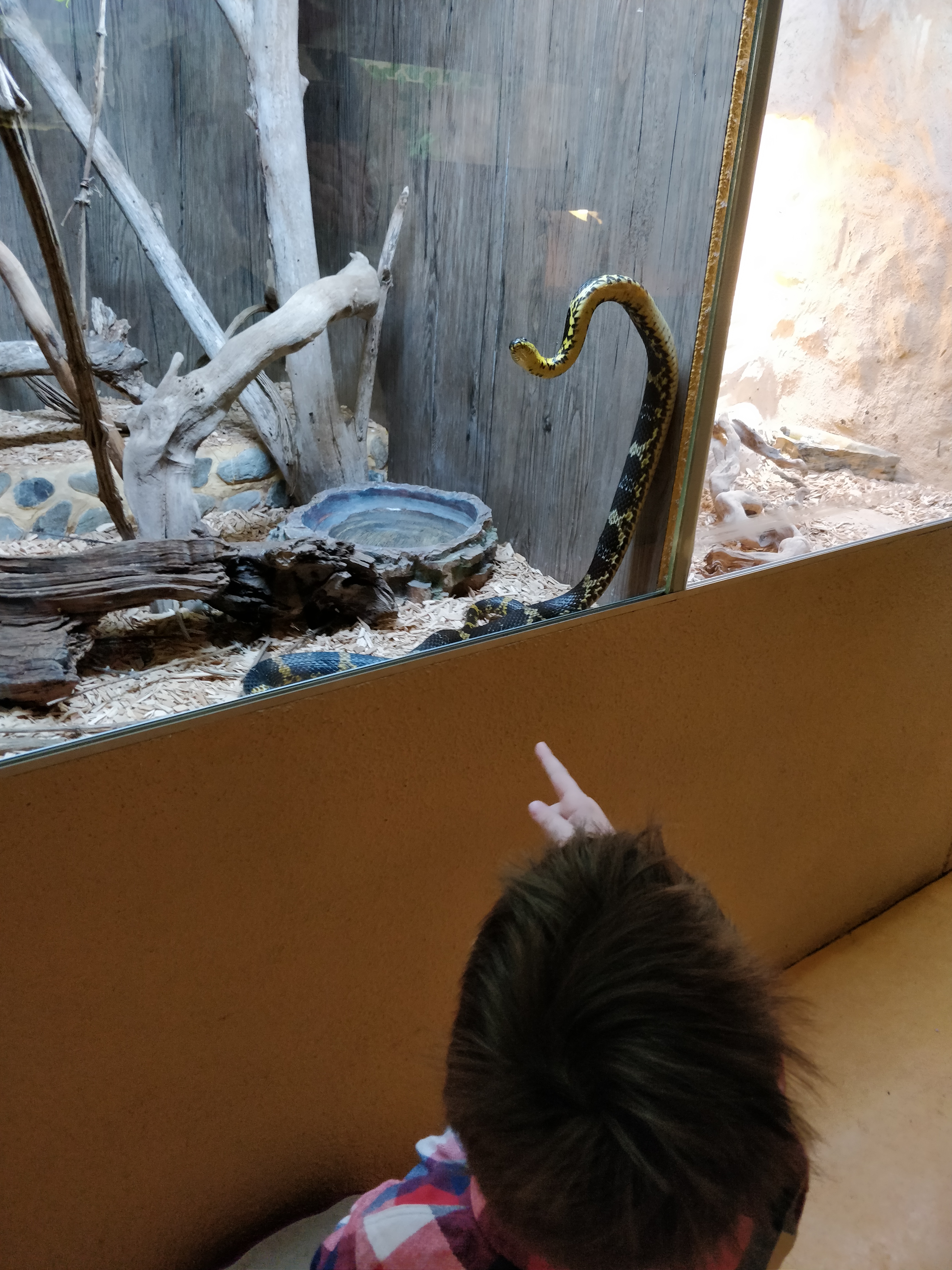 Photo n° 4 de l'avis de Romain.r fait le 18/02/2020 à 16:14