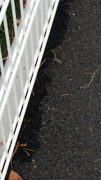 Photo n°12 de Les Genêts d'Anglet Football à Anglet ()