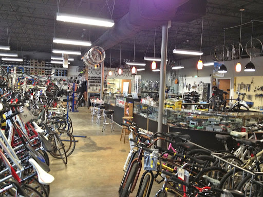 Bicycle Store «I Cycle Bike Shop», reviews and photos, 2040 E T C Jester Blvd, Houston, TX 77008, USA