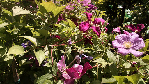 Garden Center «Ladera Garden & Gifts», reviews and photos, 3130 Alpine Rd #380, Portola Valley, CA 94028, USA