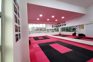 Taekwondo klub Sarajevo image