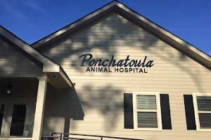 Ponchatoula Animal Hospital image