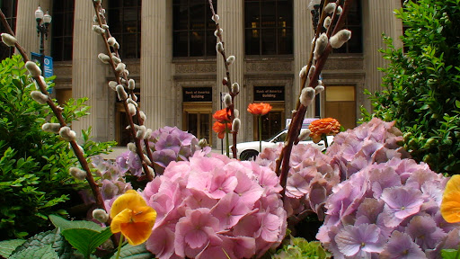 Bank «Federal Reserve Bank of Chicago», reviews and photos