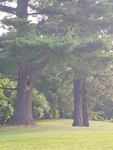 Golf Course «Veterans Memorial Golf Course», reviews and photos, 1059 S Branch Pkwy, Springfield, MA 01118, USA