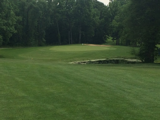 Golf Course «Brookwood Golf Course», reviews and photos, 1339 Rynearson St, Buchanan, MI 49107, USA
