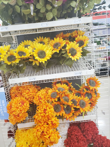 Craft Store «Michaels», reviews and photos, 2175 Bronze Star Dr, Woodland, CA 95776, USA