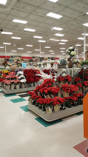 Craft Store «Michaels», reviews and photos, 2218 Interstate 45 N, Conroe, TX 77301, USA