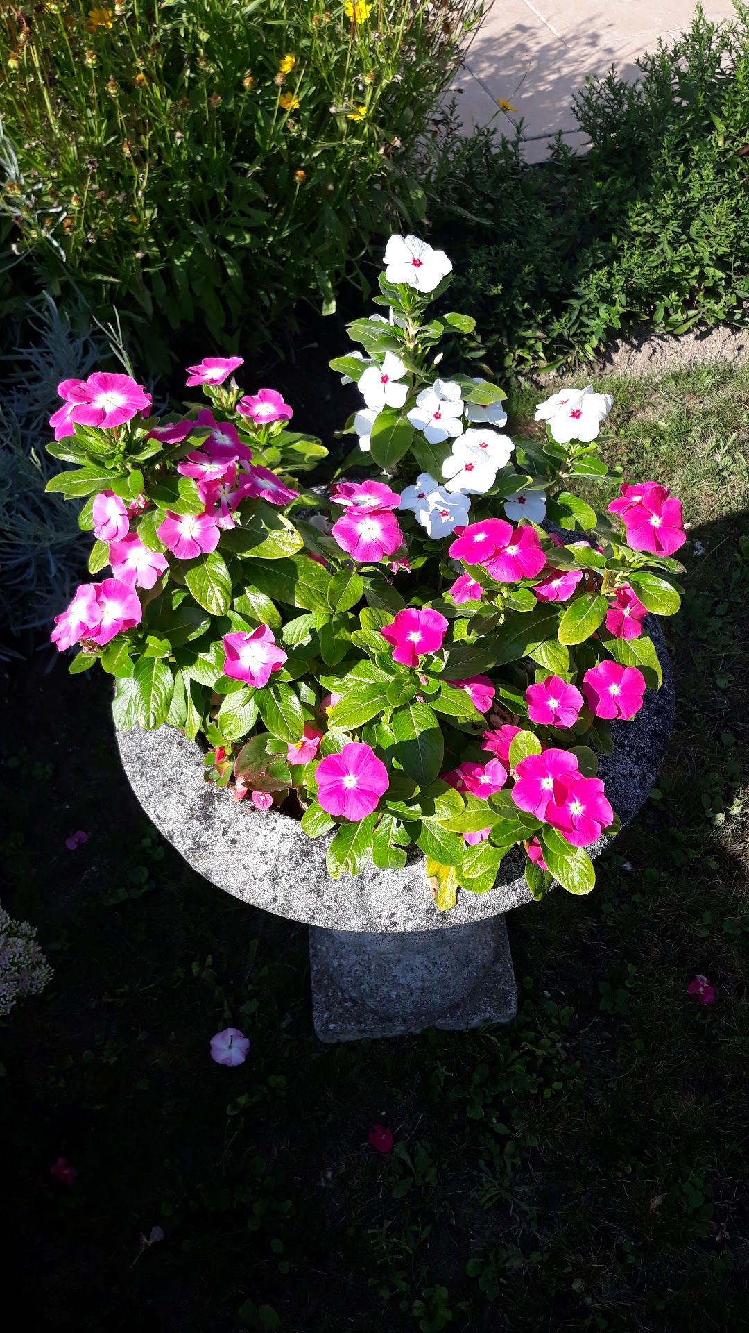 Photo n° 1 de l'avis de Gabrielle.l fait le 26/08/2019 à 08:31