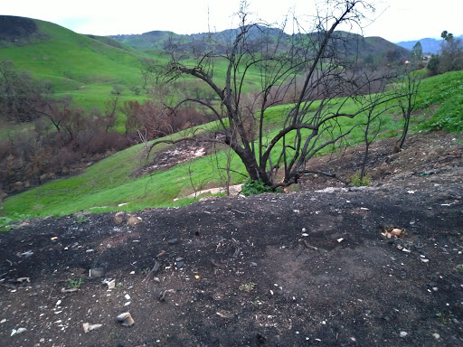 Park «Gates Canyon Park», reviews and photos, 25801 Thousand Oaks Blvd, Calabasas, CA 91302, USA