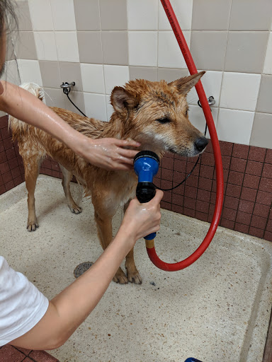 Pet Supply Store «Pet Food Express», reviews and photos, 785 Oak Grove Rd, Concord, CA 94518, USA