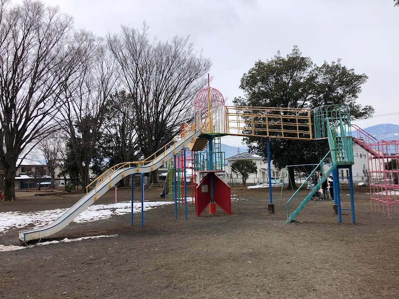 中下条公園