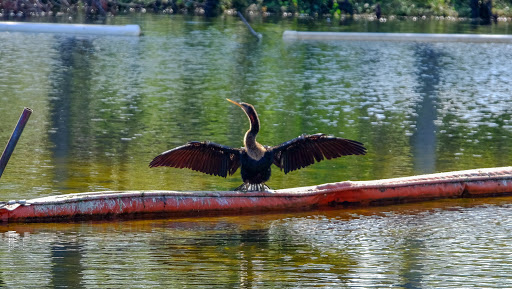 Park «Amelia Earhart Park», reviews and photos, 401 E 65th St, Hialeah, FL 33013, USA