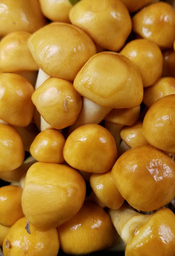 Grocery Store «Safeway», reviews and photos, 253 High School Rd NE, Bainbridge Island, WA 98110, USA