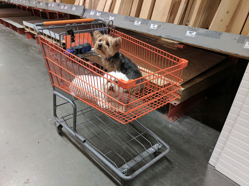 Home Improvement Store «The Home Depot», reviews and photos, 2001 Chess Dr, San Mateo, CA 94404, USA