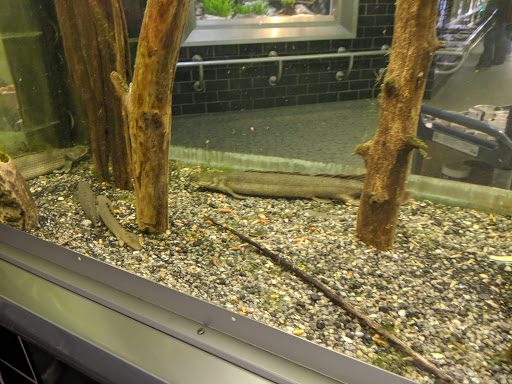 Aquarium «Belle Isle Aquarium», reviews and photos, 900 Inselruhe Ave, Detroit, MI 48207, USA