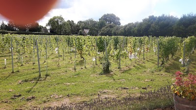 Photos of Wijndomein St. Martinus (algemeen)