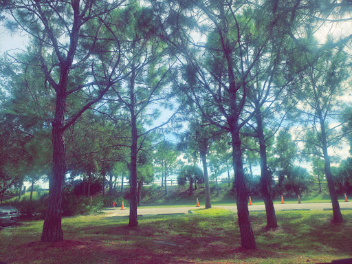 Park «Channel Park Pavillion, Upper Tampa Bay Trail», reviews and photos, 9201 W Waters Ave, Tampa, FL 33615, USA