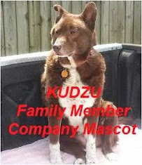 Kudzu Pest Solutions - Photo 6 - Car repair in , Sandy Springs