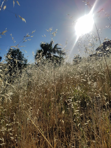 Car Wash «Deer Creek Car Wash», reviews and photos, 10340 E Foothill Blvd, Rancho Cucamonga, CA 91730, USA