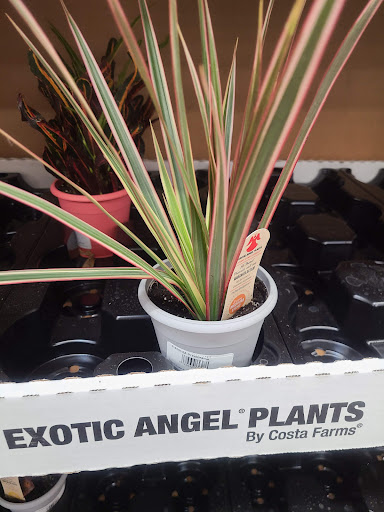 Department Store «Walmart Supercenter», reviews and photos, 7500 US-209, Napanoch, NY 12458, USA