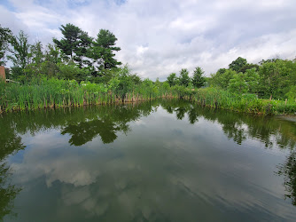 Kemp Mill Urban Park