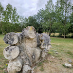 Photo n° 8 de l'avis de Le.e fait le 05/09/2023 à 11:59 pour Abbaye de Maillezais à Maillezais