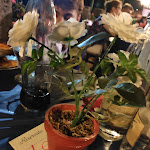 Photo n°2 de l'avis de Carpe.i fait le 29/07/2022 à 15:38 sur le  Ristorante Feudo Delizia à Segreta